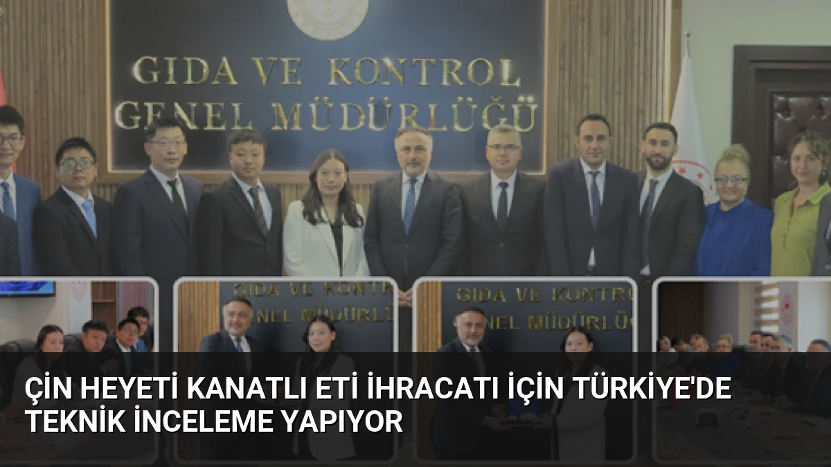 Çin Heyeti Kanatlı Eti İhracatı İçin Türkiye’de Teknik İnceleme Yapıyor