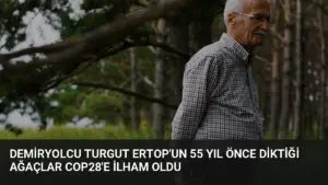 Demiryolcu Turgut Ertop’un 55 Yıl Önce Diktiği Ağaçlar COP28’e İlham Oldu