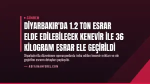 Diyarbakır’da 1.2 Ton Esrar Elde Edilebilecek Kenevir İle 36 Kilogram Esrar Ele Geçirildi