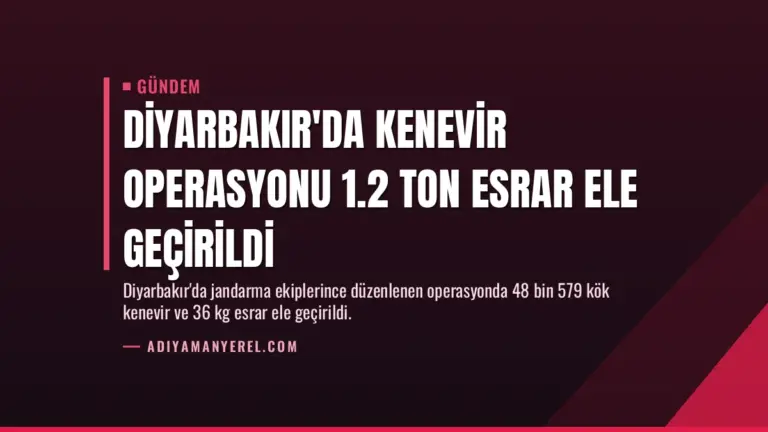 Diyarbakır’da Kenevir Operasyonu 1.2 Ton Esrar Ele Geçirildi