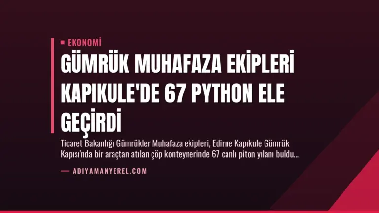Gümrük Muhafaza Ekipleri Kapıkule’de 67 Python Ele Geçirdi