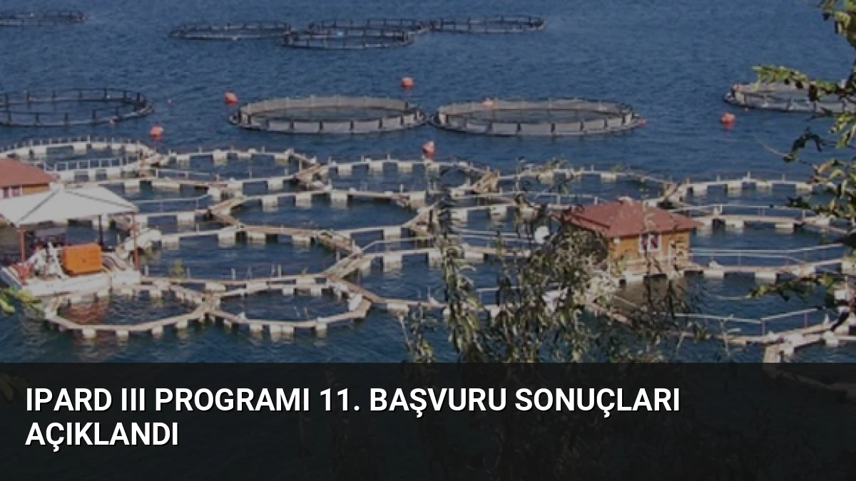 IPARD III Programı 11. Başvuru Sonuçları Açıklandı