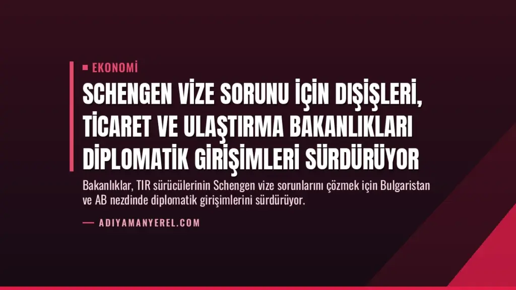 Schengen vize sorunu için Dışişleri, Ticaret ve Ulaştırma Bakanlıkları diplomatik girişimleri sürdürüyor
