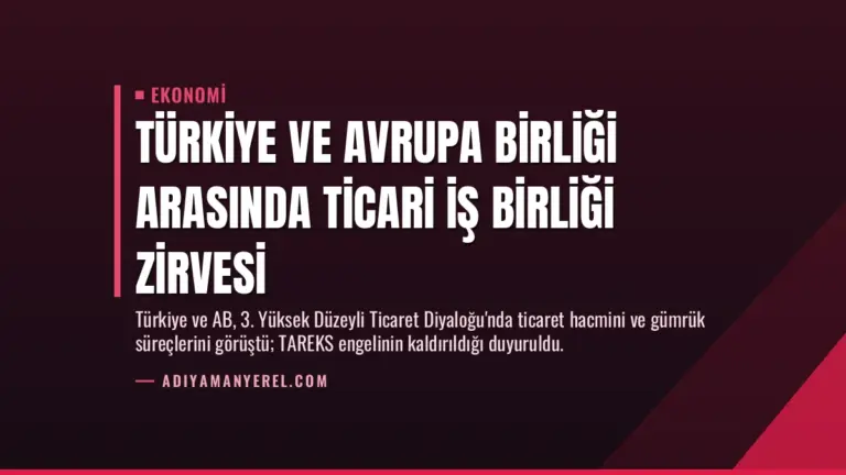 Türkiye ve Avrupa Birliği Arasında Ticari İş Birliği Zirvesi