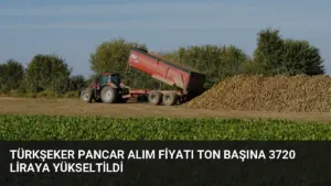 Türkşeker Pancar Alım Fiyatı Ton Başına 3720 Liraya Yükseltildi
